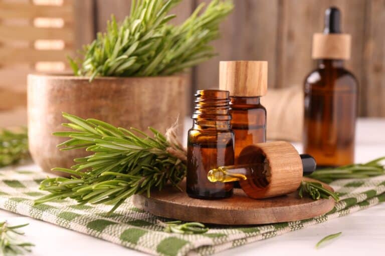 Rosemary oil used for hair growth support